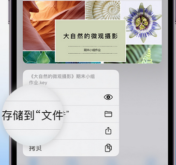 耀州apple维修中心分享iPhone文件应用中存储和找到下载文件