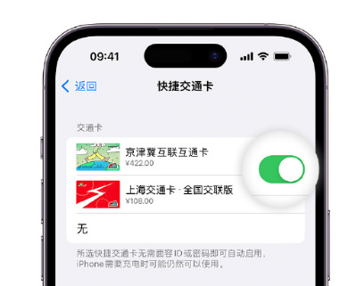 耀州apple维修点分享iPhone上更换Apple Pay快捷交通卡手绘卡面 