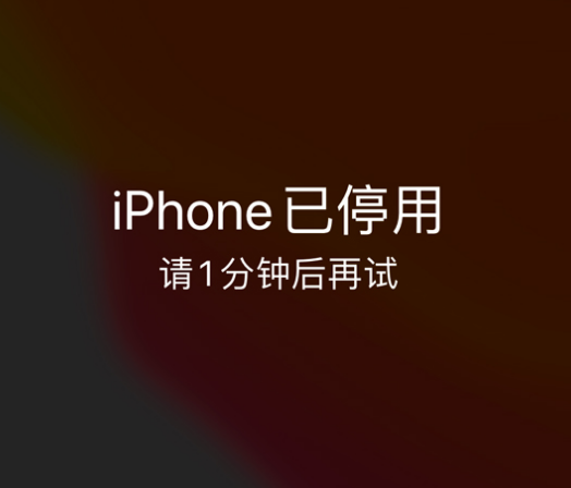 耀州苹果手机维修分享:iPhone 显示“不可用”或“已停用”怎么办？还能保留数据吗？ 