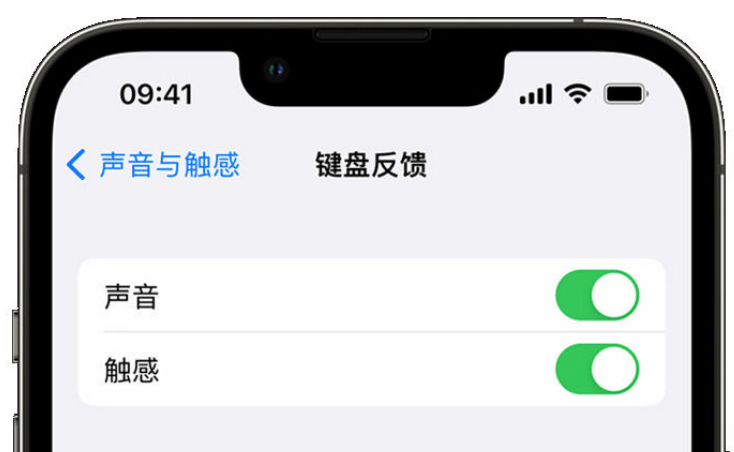 耀州苹果手机维修分享iPhone 14触感键盘使用方法 