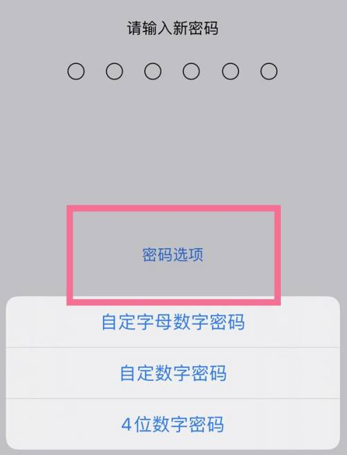 耀州苹果14维修分享iPhone 14plus设置密码的方法 